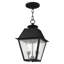 Lanterne suspendue d'extérieur 2 lumières Arnetria-22670195