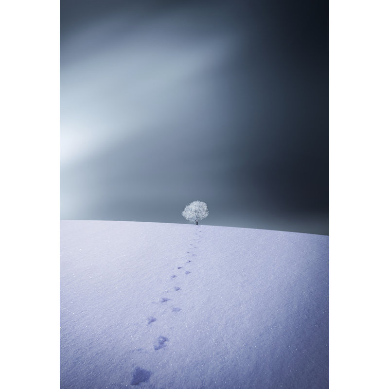 Wrapped Canvas Print, 76.2 cm H x 50.8 cm W