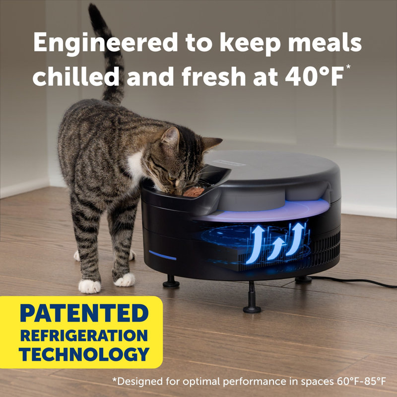 Freshfeed Refrigerated Pet Feeder, Black, Black