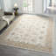 Tapis intérieur anthracite tissé en filigrane crème / brun Anthonyson-1188947702