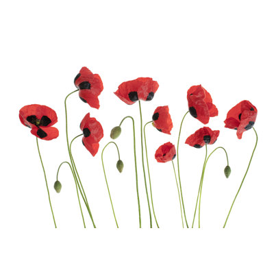 Red Poppies by Photoshopped