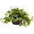 15'' Faux Pothos Plant in Wood Planter