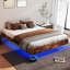 Cowen Floating Bed Frame with LED Lights Metal Slats Underbed Storage Space No Box Spring-1556098083-1605508652