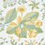 Pomegranate Botanical Wallpaper-55967354