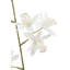 26" Artificial White Orchid in Vanda Pot