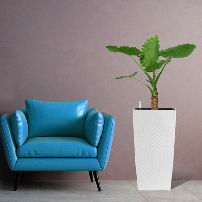 Pot auto-arrosant en polypropylène blanc avec trous de drainage 29,57 po White, plateaux intérieurs pour plantes d'intérieur et d'extérieur, légumes adaptés, fleurs dans le jardin, seau de drainage pour jardinière, niveau d'eau