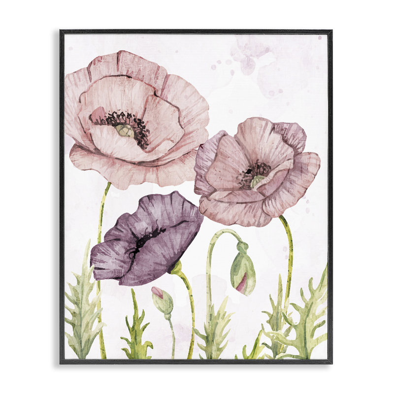 «Soft Pastel Poppy Garden», estampe numérique par Kim Allen, H 14 po x l 11 po, Giclée encadrée noir minuit