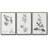 " Botanical Imprint I " 3 - Pieces-97757617-97757612