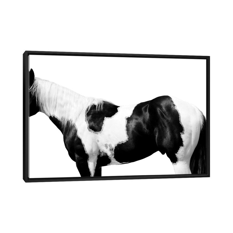 «Pinto» par Samantha Carter - impression sur toile tendue, H 18 po x l 26 po x P 1,5 po, Toile avec cadre noir, Pas de tapis