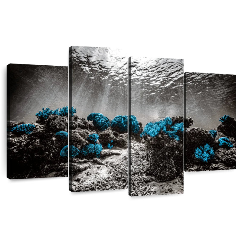Brampt Indonesian Coral Reefs Pop