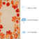 Dasan Hand Tufted Floral Indoor / Outdoor Rug