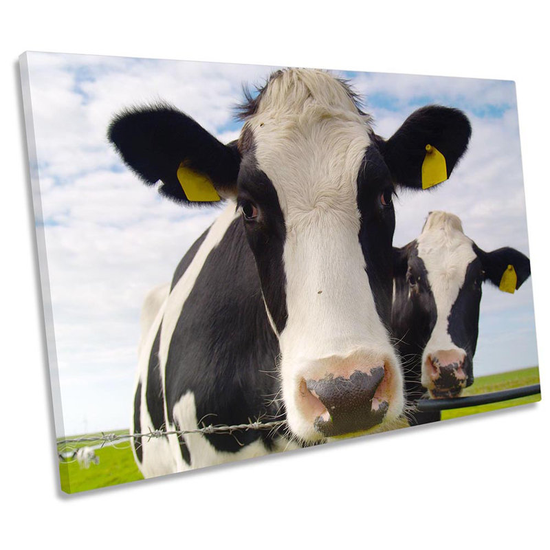 Cow Faces Farm Farmer - Wrapped Canvas Print, 61cm H x 91.4cm W