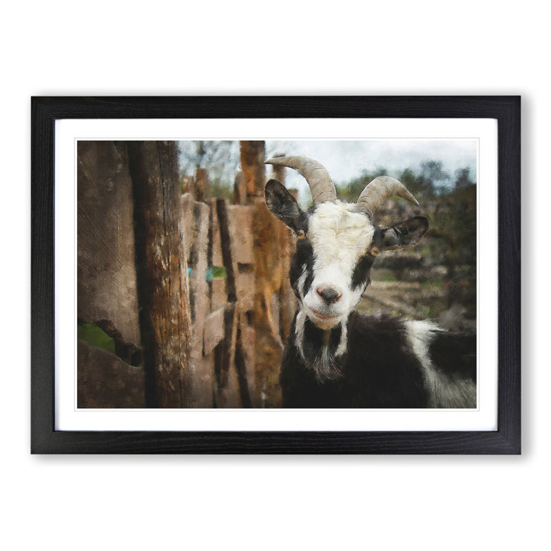 Goat Vol.1 - Picture Frame Painting, 27cm H x 36cm W x 2cm D, Black Framed