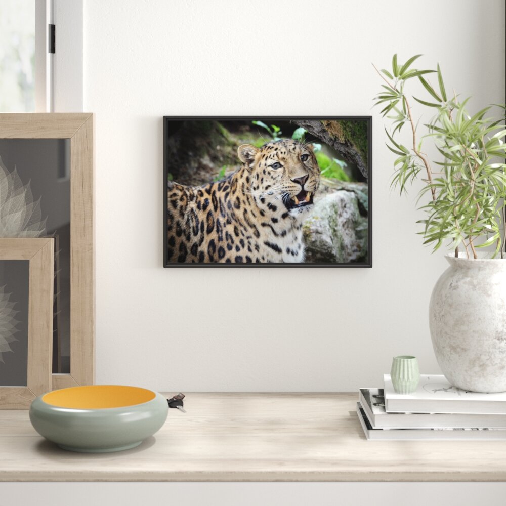 Gerahmtes Wandbild prachtvoller Leopard