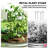Raised Garden Bed Set,Raised Beds For Gardening With Metal Plant Stakes,For Garden And Patio-851641655