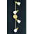 Polished / Satin Brass selected