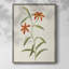 Fleurs des saisons III, reproduction encadrée - bois massif-1610275106