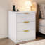 49.8cm W 3 - Drawer Chest of Drawers-1059744341