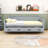 Twin Size Daybed with 2 Drawers-161254489