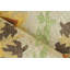 Savannah Hand Tufted New Zealand Wool Beige/Multi Area Rug-1718433677