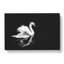 Swan - Wrapped Canvas-56640523