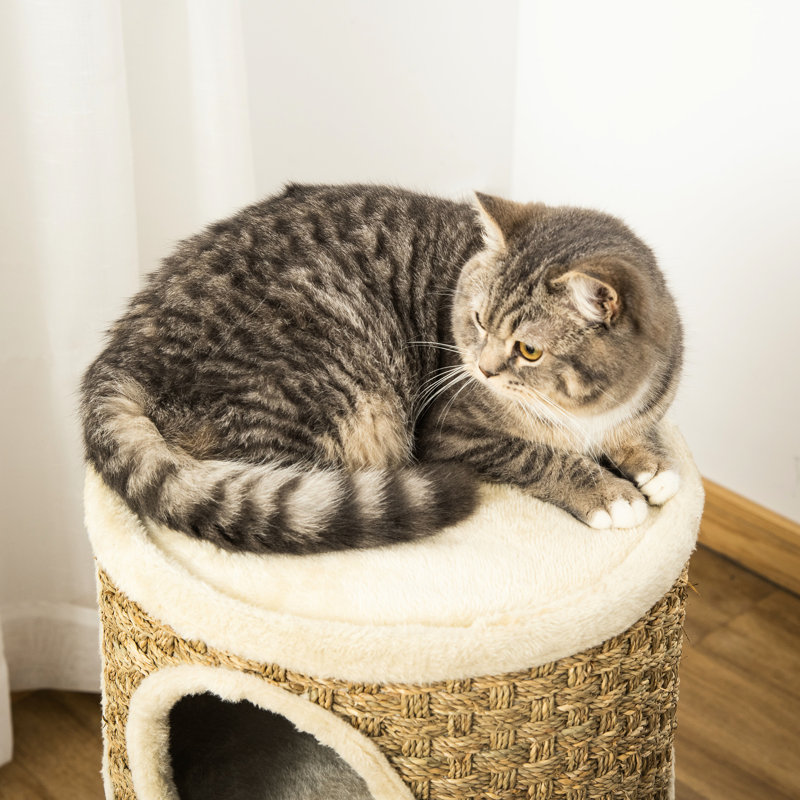 Chat 28 po, mors dissimulé à 3 niveaux pour chats avec patin à griffer, kaki et brun - section Stable Cozy House