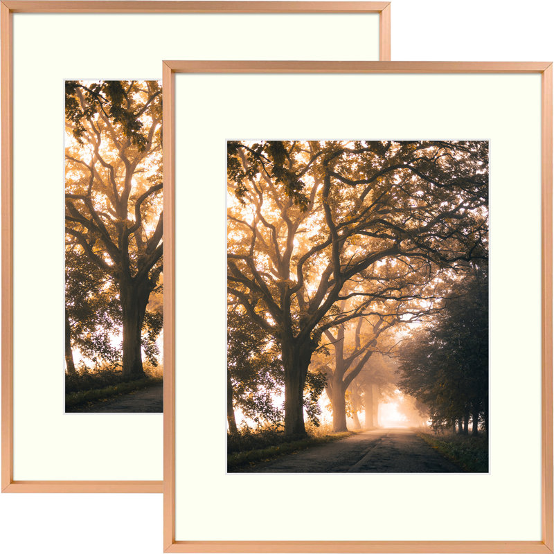 2 Piece Matte Gallery Wall Frame Set, Multi Photo Frames Collage, for Wall or Table Top Display, 8" x 10", Rose Gold