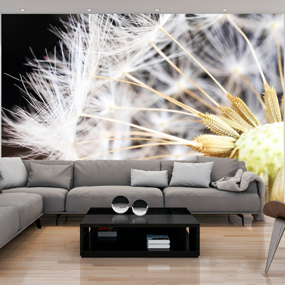 Fototapete Fluffy dandelion 210 cm x 300 cm