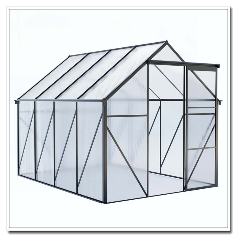 6x8 FT Polycarbonate Greenhouse Raised Base and Anchor Aluminum Heavy Duty Walk-in Greenhouses for Outdoor Backyard in All Season