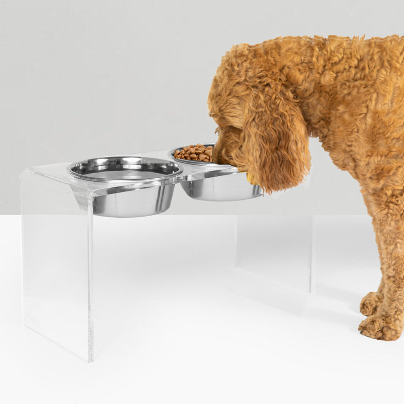Tall Clear Elevated Feeder with Bowls, Silver, Clear