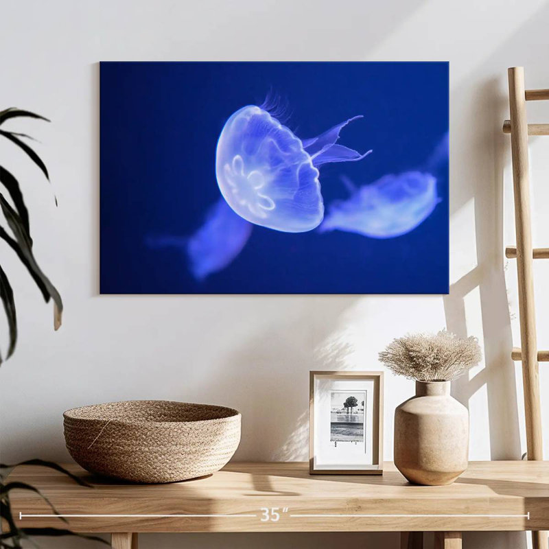 Crowle Sea Moon Jellyfish, H 8 po x l 12 po