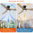 Jacara 52" Flush Mount Ceiling Fan with LED Light & Remote Black with Gray-1356418651