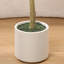 Olive artificielle de 7 pi en pot, plante artificielle pour la maison et le bureau-584587573