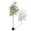 70.8'' Faux Olive Tree Tree in Pot-1321791893
