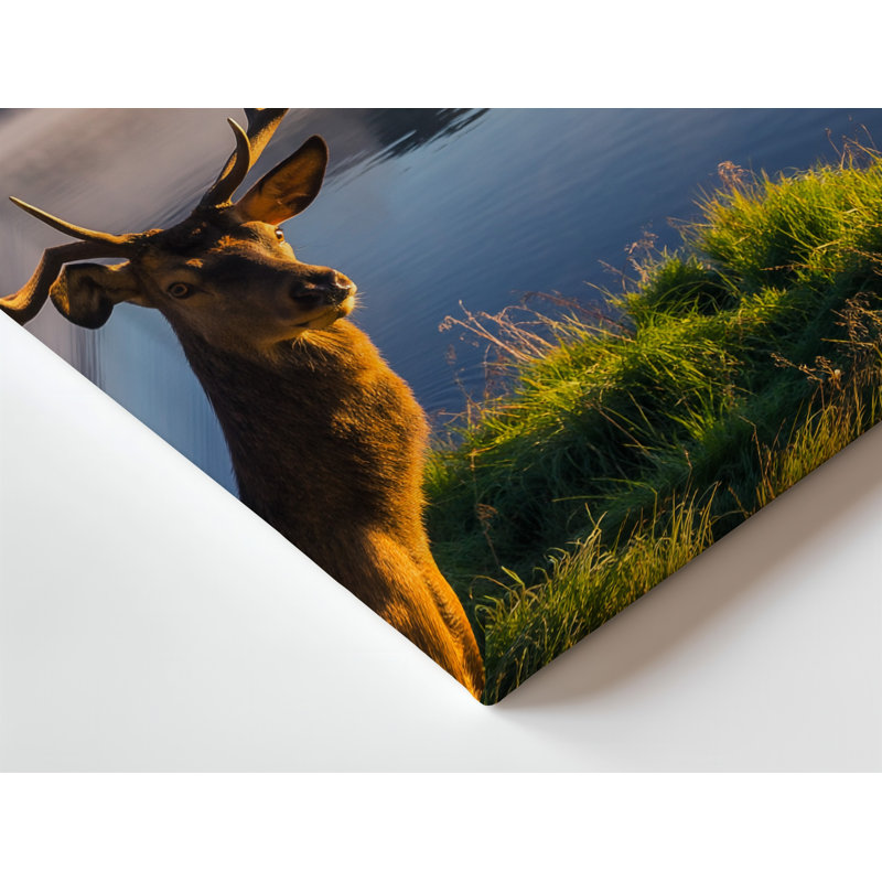 Reproduction d'art sur toile, "Un cerf majestueux avec des bois éminents", H 30 po x l 30 po