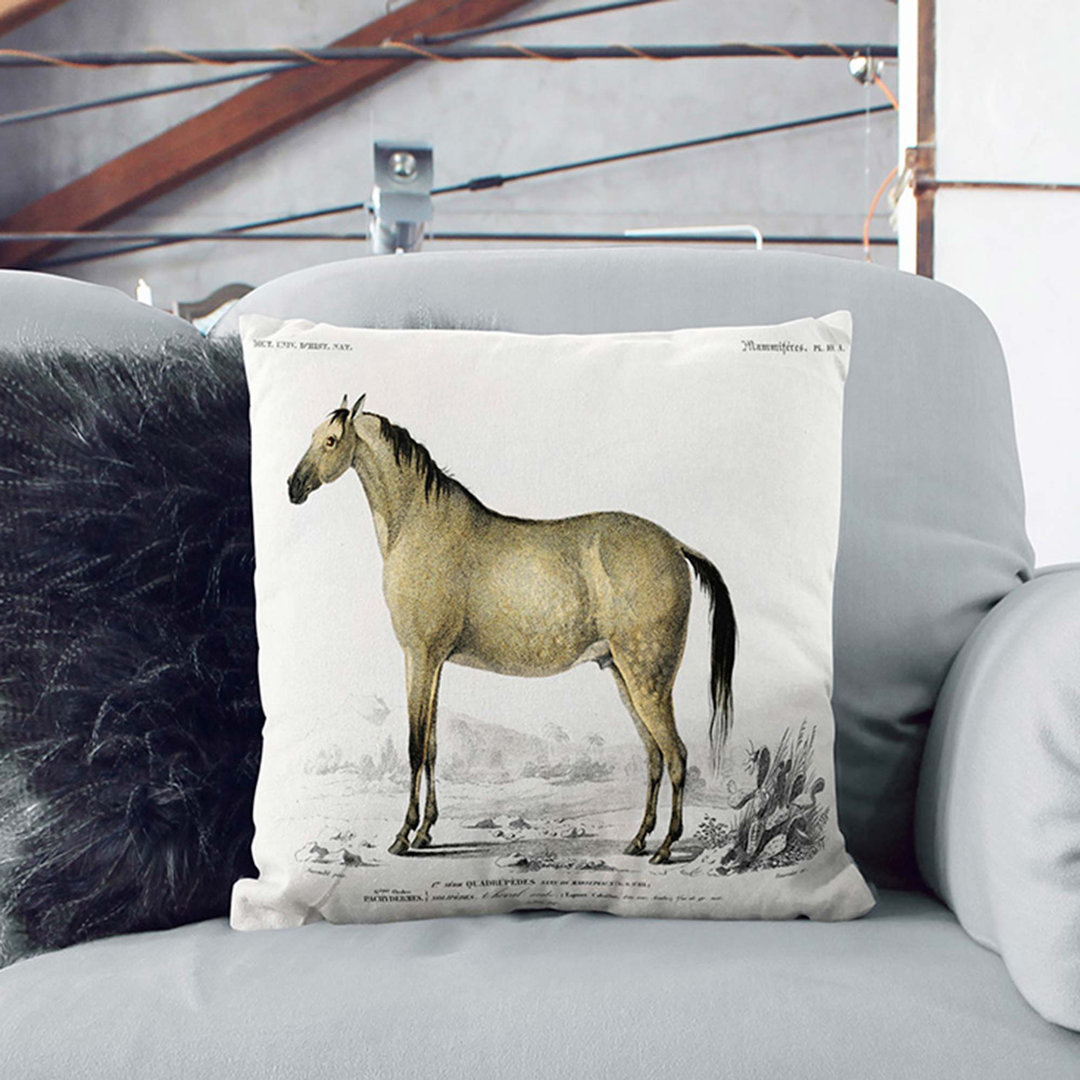 Horse Illustration PL. 10A by Charles D' Orbigny Cushion with Filling