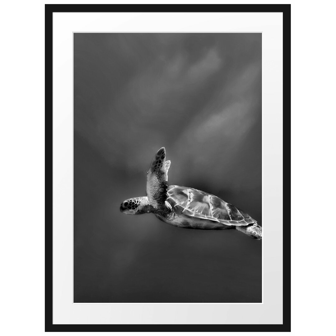 Gerahmtes Poster Schildkröte im Meer