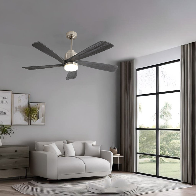 Loewus 52'' Ceiling Fan with LED Lights