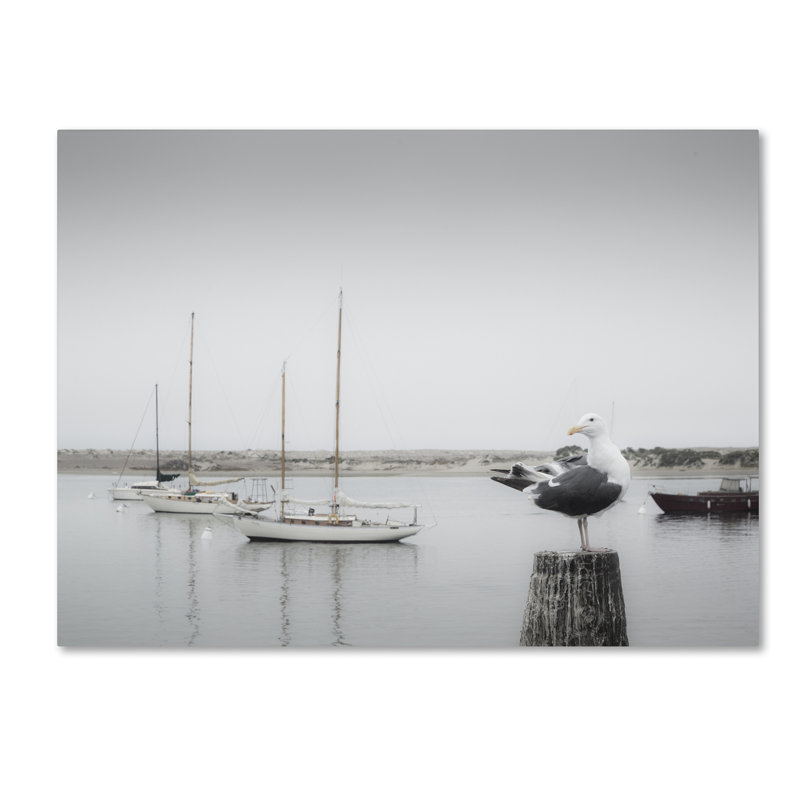 Gray and White Seagull with Boats Canvas Art, 14 x 19