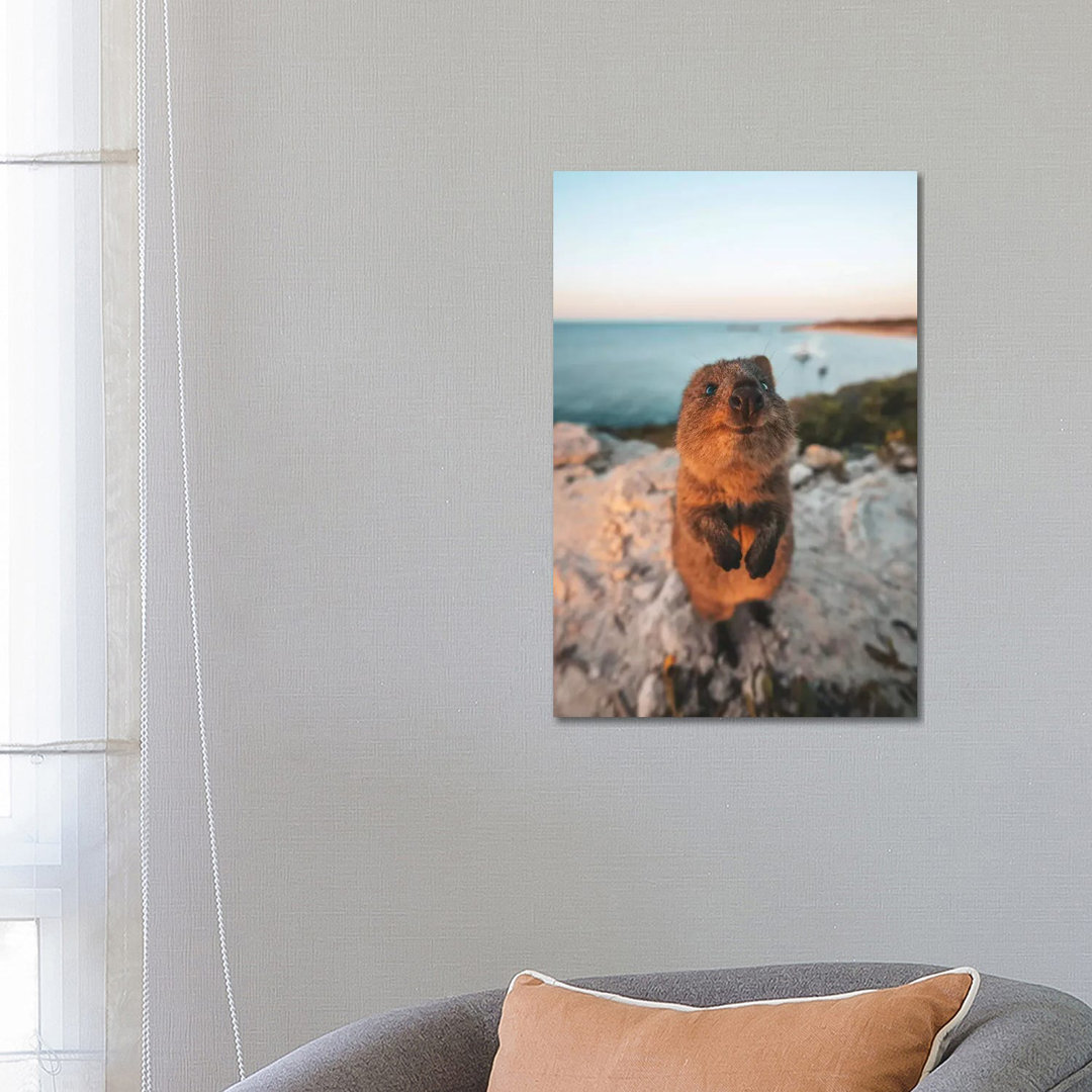 Cute Quokka By The Ocean by - Wrapped Canvas
