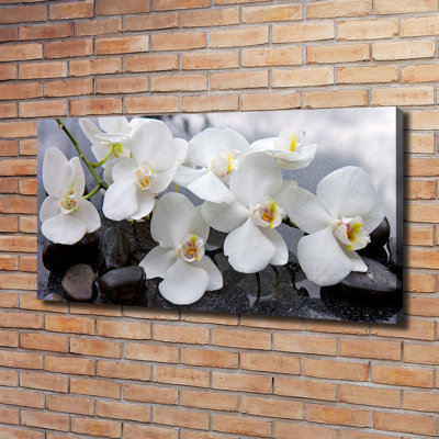 Orchid - No Frame Print on Canvas