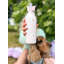Pawsome Paws Double Wall Insulated Stainless Steel Water Bottle