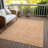 Machine Washable Indoor/Outdoor Claudian ACN1224 Salmon Rug-103718610