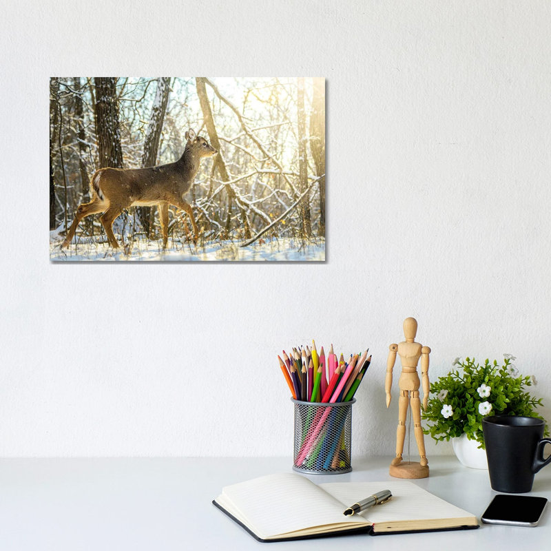 Young Bambi Walking Towards The Sun On The Snow By Nik Rave - Wrapped Canvas Graphic Art by Nik Rave - Wrapped Canvas Gallery-Wrapped Canvas Giclée