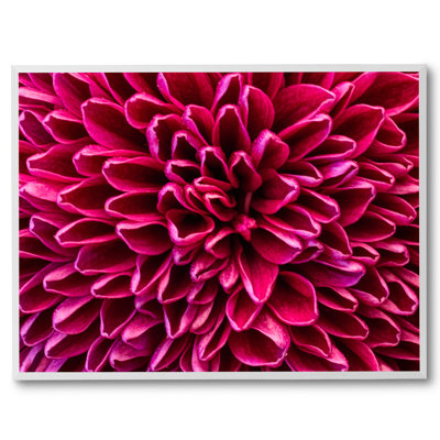 «Pom Pom Chrysanthemum Mauve» par Harold Davis - photographie