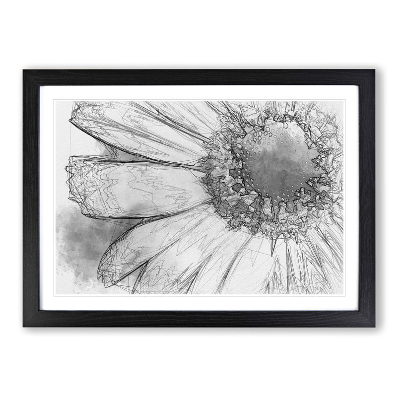 Pretty Flower in Abstract - Picture Frame Graphic Art Print, 35cm H x 50cm W x 2cm D, Black