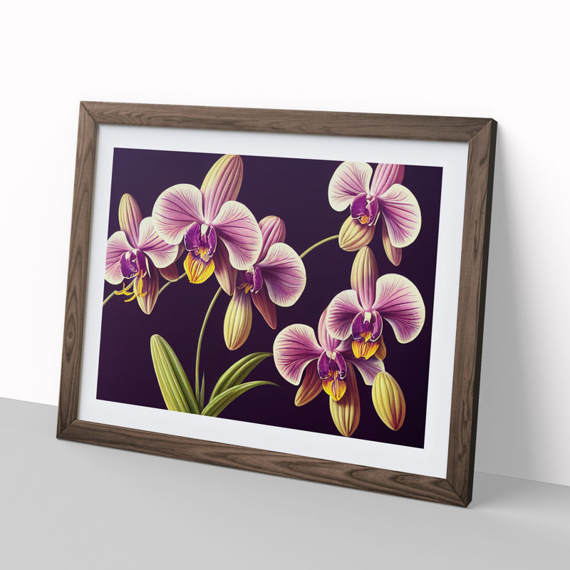 Captivating Orchid Flowers - Framed Print, 25cm H x 34cm W x 2cm D, Walnut