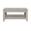 Weddel Basilico Coffee Table with Storage-2057449331