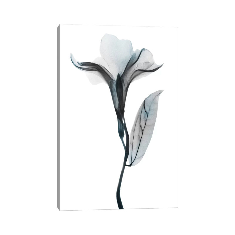 Ombre Sea Salt Oleander I by Albert Koetsier - Wrapped Canvas Gallery-Wrapped Canvas Giclée, 20.32 cm H x 30.48 cm W