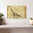 Brampt Brachiosaurus Study-107864621